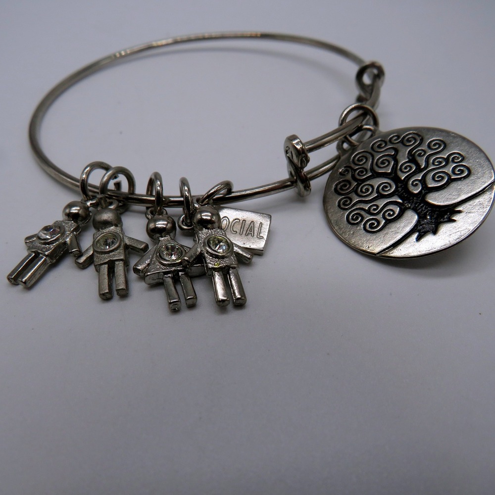 Silver Tone Tree of Life Family Charm Expandable Bangle Bracelet Social Tag